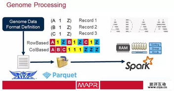 大数据驱动医疗软件开发 应对医疗卫生成本激增的智慧之道